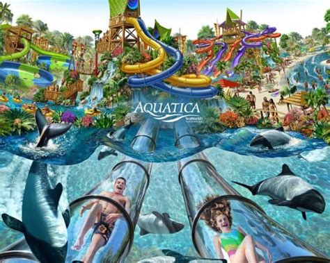 SeaWorld: Where the Real World Meets Magical Adventure